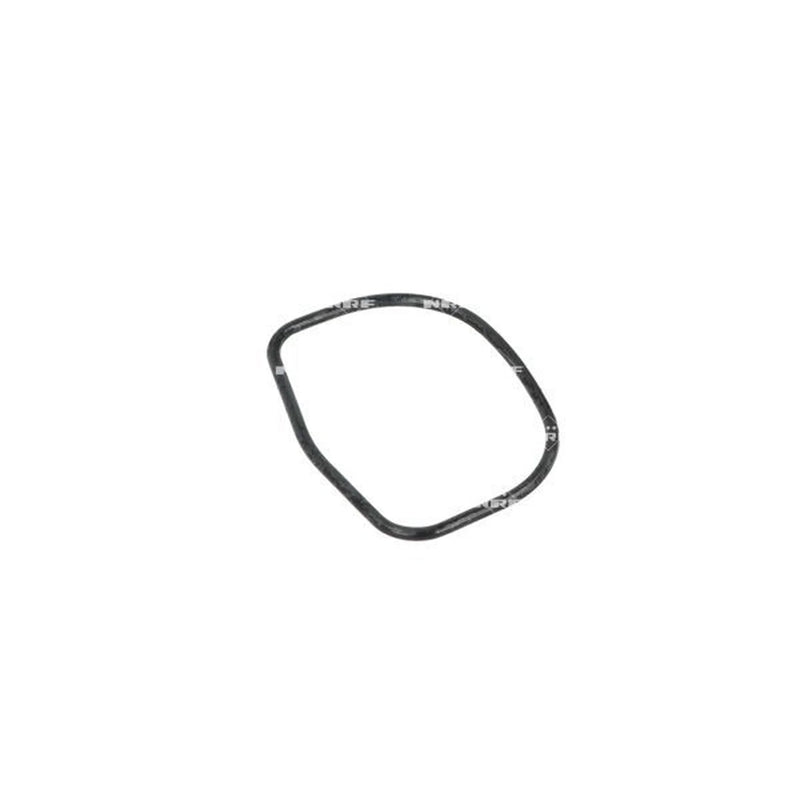 NRF Thermostat,Coolant 725034