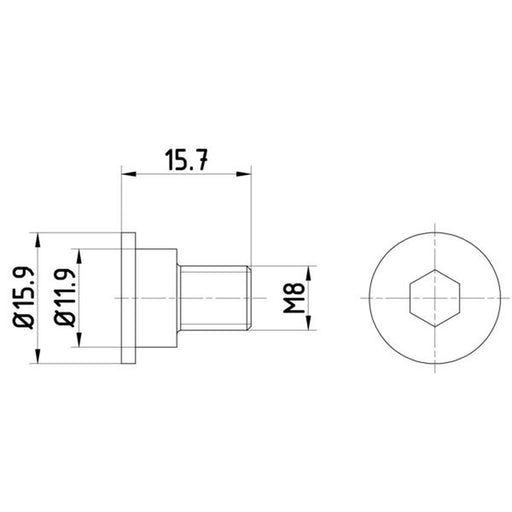 Textar 2 x Rear Brake Disc Bolt TPM0003
