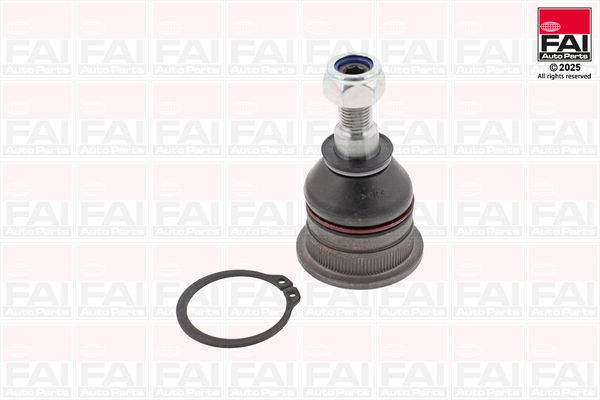 FAI Ball Joint