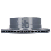 Febi 2 x Rear Brake Discs 186465