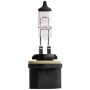 Hella Front Fog Light Bulb PG13 12V 27W 8GH 008 991-021