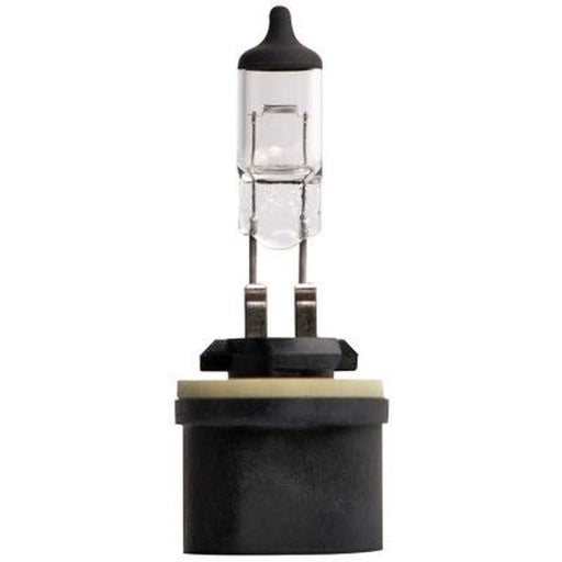 Hella Front Fog Light Bulb PG13 12V 27W 8GH 008 991-021