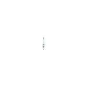 Bosch Diesel Engine Glow Plug 0 250 202 043