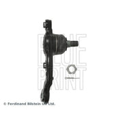 Blue Print Ball Joint Lower ADT38660