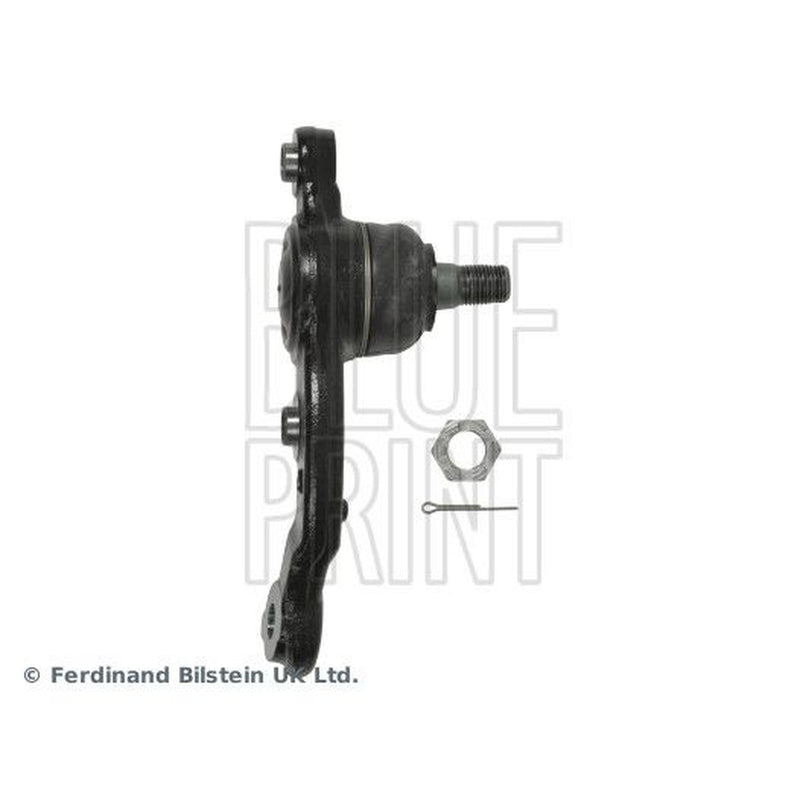 Blue Print Ball Joint Lower ADT38660