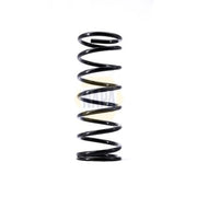 NAPA Front Right Suspension Coil Spring NCS1483