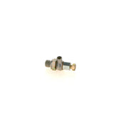 Bosch Fuel Injection Control Valve 1 417 411 000