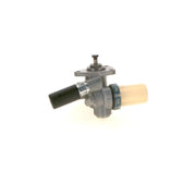 Bosch Fuel Pump Assembly 0 440 004 081
