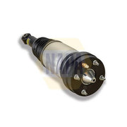 NAPA Air Suspension Strut Shock NAS1066
