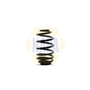 NAPA Rear Suspension Coil Spring NCS1346