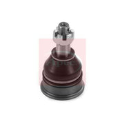 Apec Ball Joint Front Right AST0344