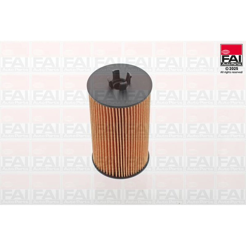 FAI Engine Oil Filter OF100