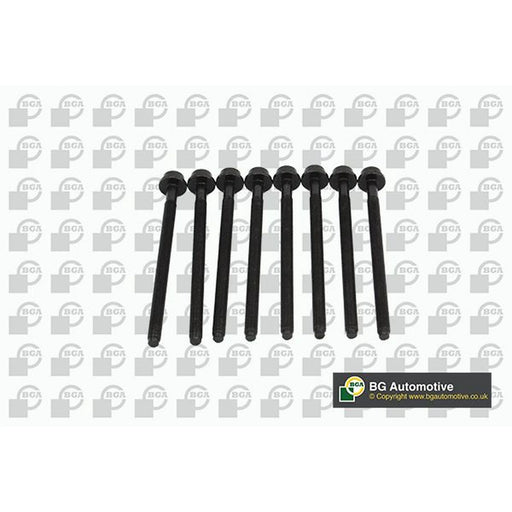 BGA Cylinder Head Bolt Set M9 BK0104