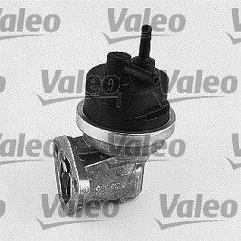 Valeo Fuel Pump Assembly 247083