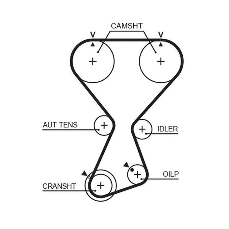 Gates Timing Belt Cambelt 175 Teeth T313
