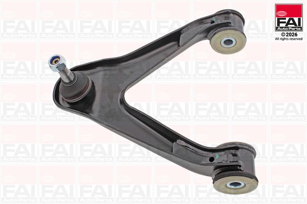 FAI Control/Trailing Arm