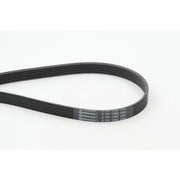 Continental CTAM Multi V-Ribbed Drive Belt 6PK1580