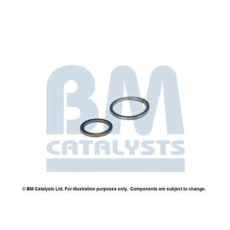 BM Catalysts Fitting Kit FK11579A FK11579A