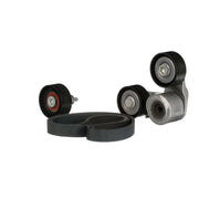 Gates V-Ribbed Belt Set K016PK1441EST