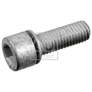 Febi Axle Drive Screw Plug OD Steel 177755