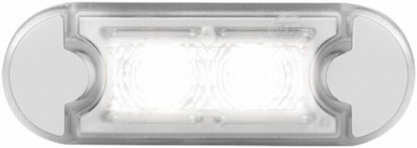 Hella 2XT 980 855-117 Door Entry Light