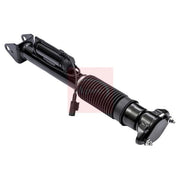 Apec Shock Absorber Damper Strut Rear Right ASA2004