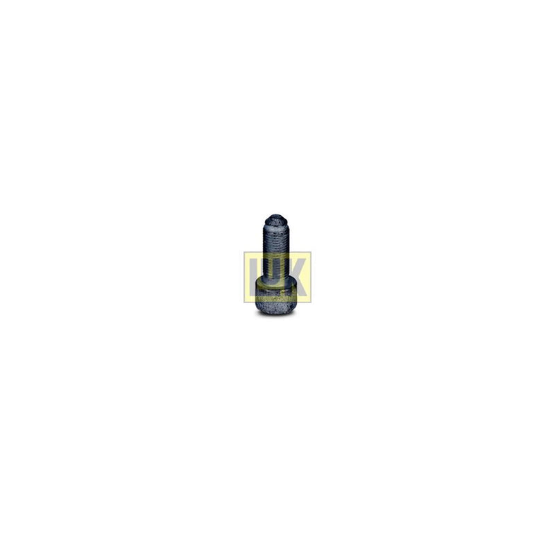 LuK Dmf Bolt Fitting Kit 411015010