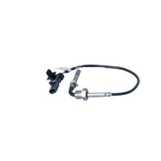 NRF Exhaust Gas Temperature Sensor before soot particulat 707252