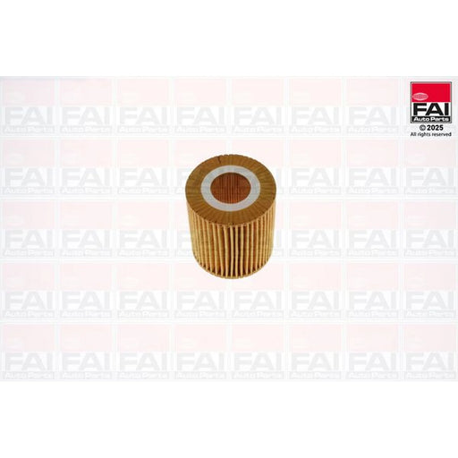FAI Engine Oil Filter OF166