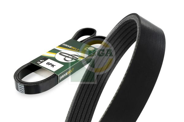 BGA Multi V-Ribbed Drive Belt
