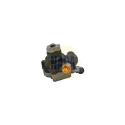 NAPA Power Steering Hydraulic Pump NPS1039
