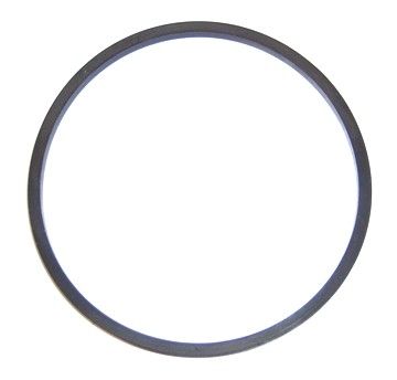 Elring 731.269 Seal Ring