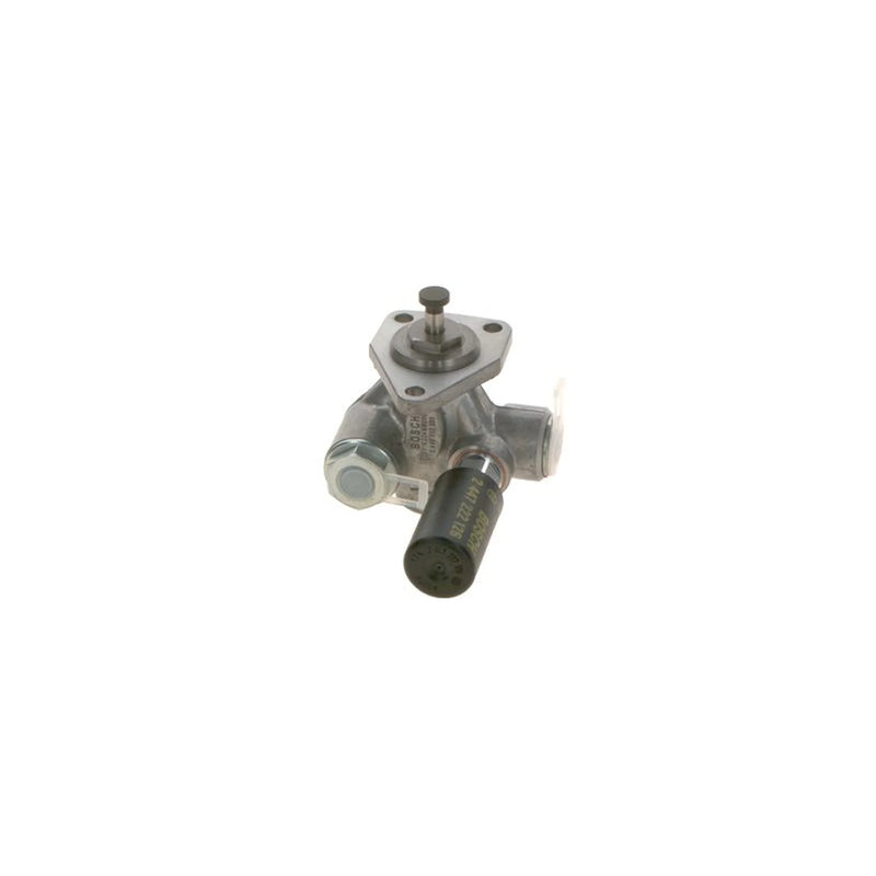 Bosch Fuel Pump Assembly 0 440 017 030