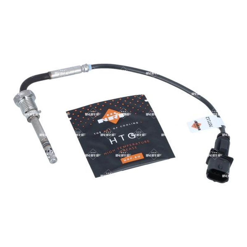 NRF Exhaust Gas Temperature Sensor before soot particu 707112