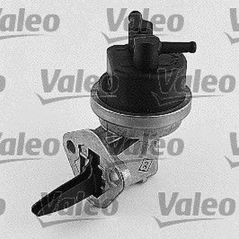 Valeo Fuel Pump Assembly 247075