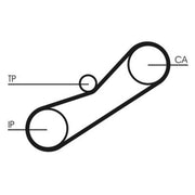 Continental CTAM Timing Belt Cambelt 78 Teeth CT1042
