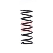 Apec Front Suspension Coil Spring ACS1778