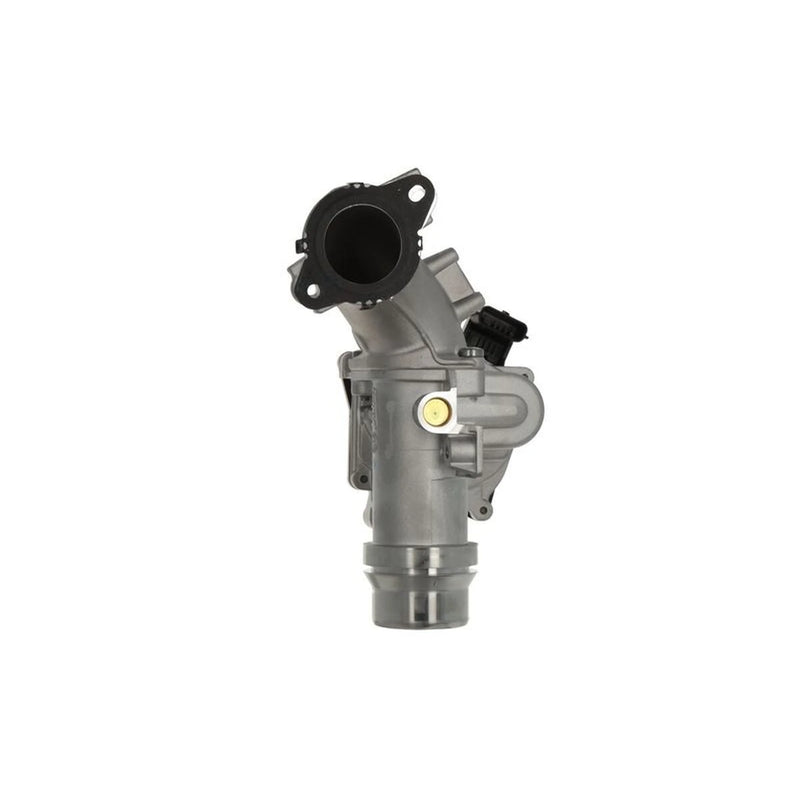 Valeo Electronic Throttle Body Assembly 700429