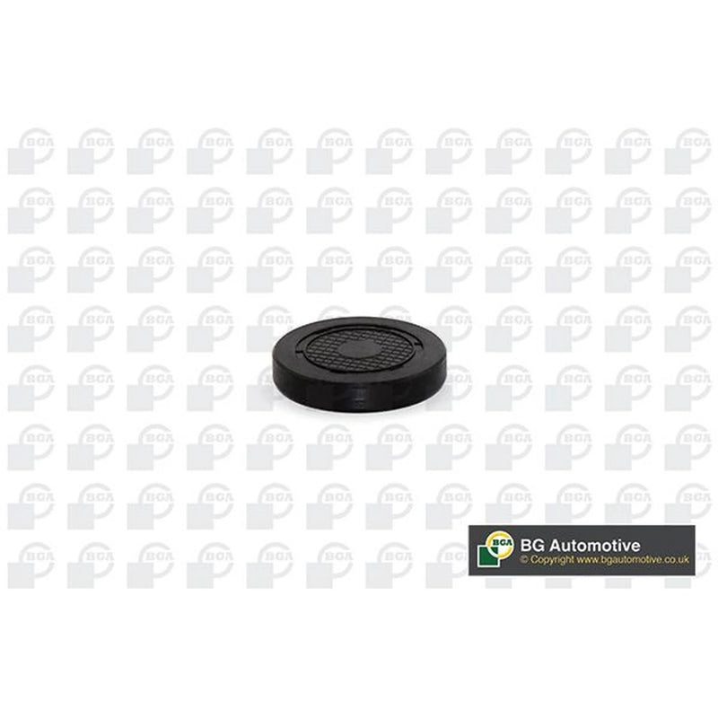 BGA Rocker Arm Shaft Mounting Bore Plug PL4601