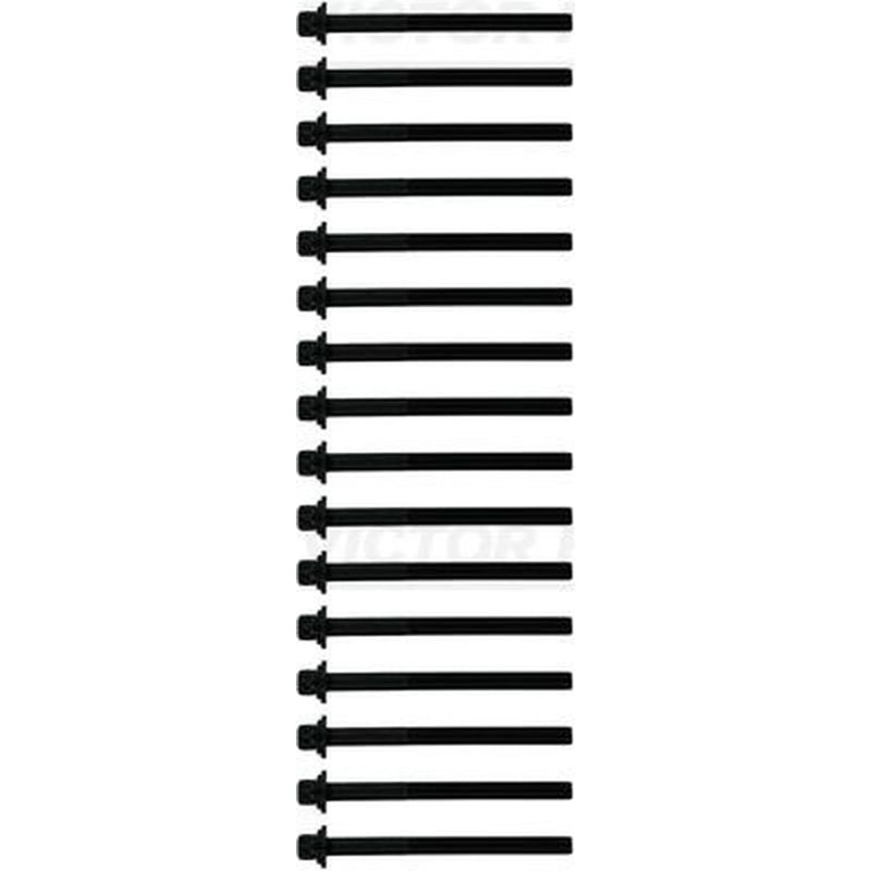 Victor Reinz Cylinder Head Bolt Set M11 14-10597-01
