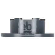 Febi 2 x Solid Rear Brake Discs 193003