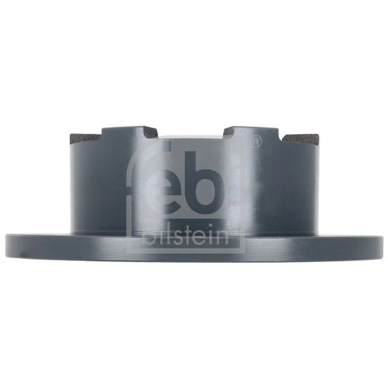 Febi 2 x Solid Rear Brake Discs 193003