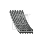 Febi Multi V-Ribbed Drive Belt 177989