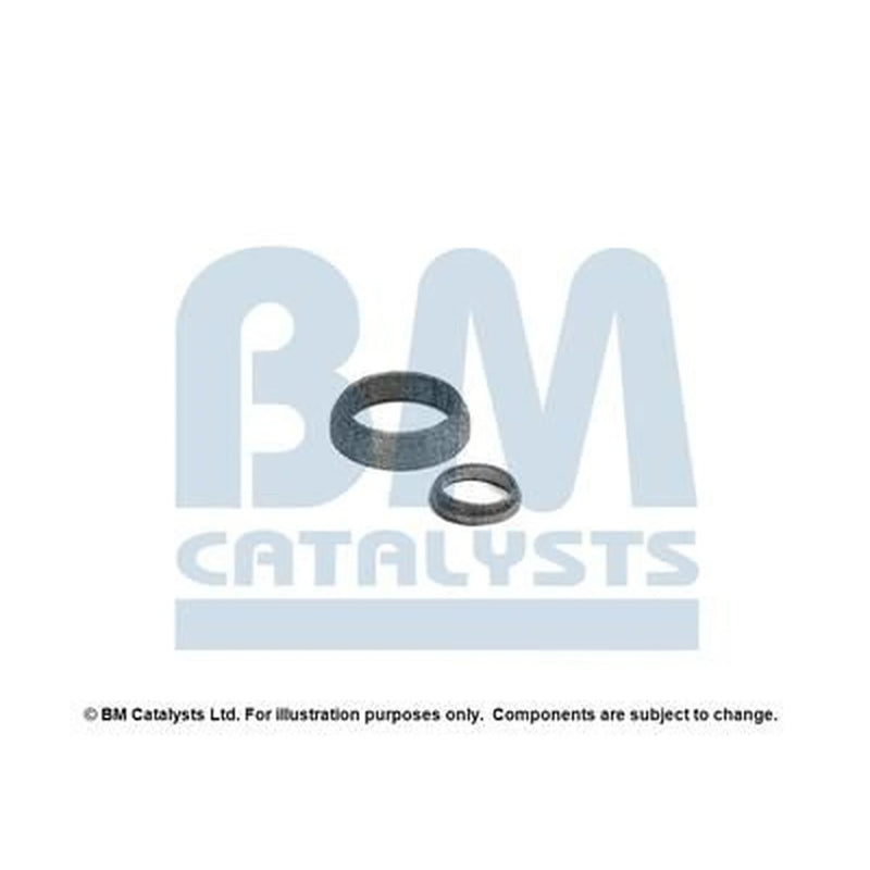 BM Catalysts Fitting Kit FK92091A FK92091A