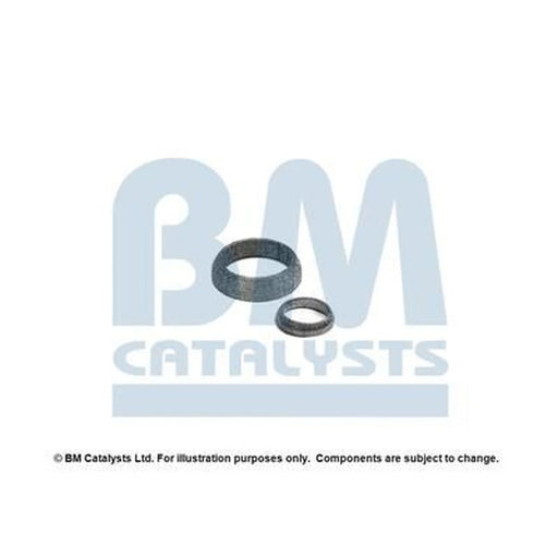 BM Catalysts Fitting Kit FK92202A FK92202A