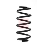 Apec Front Suspension Coil Spring ACS2428