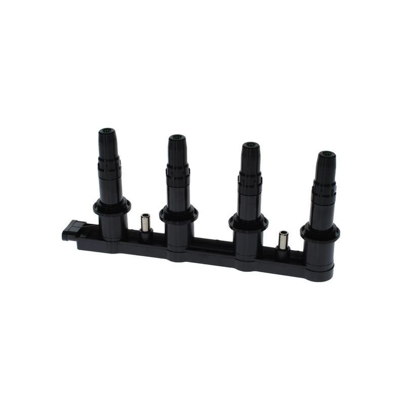 Bosch Ignition Coil Pack 0 986 22A 213