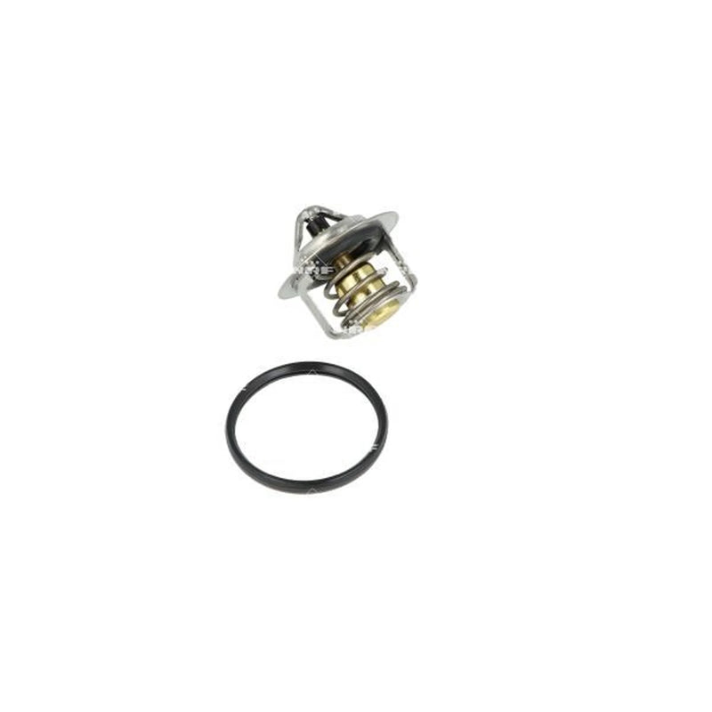 NRF Thermostat,Coolant 725211