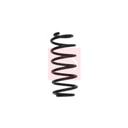 Apec Rear Suspension Coil Spring ACS1639