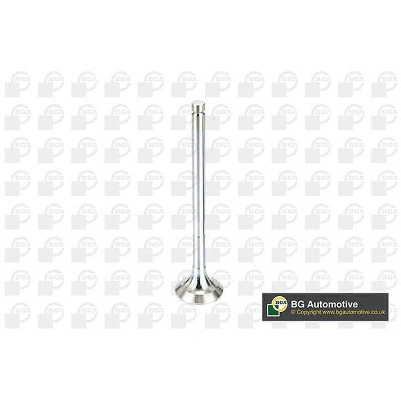 BGA Engine Exhaust Valve 24mm Head V991909